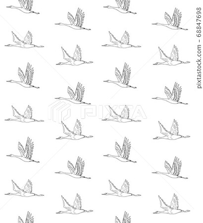 Vector seamless pattern of hand drawn flying crane 68847698