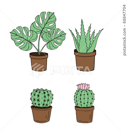 Vector set of monstera plant and cactus in pots 68847704