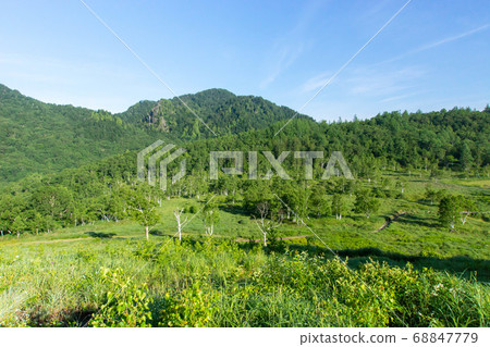 滋賀高原和田原沼澤的景色 68847779
