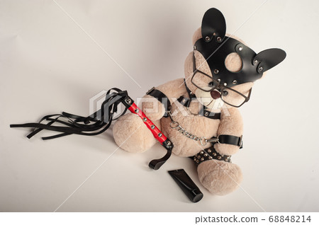 toy bear dressed in leather belts harness accessory for bdsm games on a light background toy bear dressed in leather belts harness accessory for bdsm games on a light background 68848214