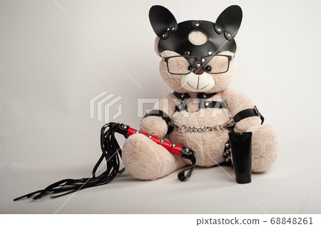 toy bear dressed in leather belts harness accessory for bdsm games on a light background toy bear dressed in leather belts harness accessory for bdsm games on a light background 68848261