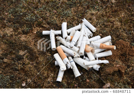 A lot of burnt cigarette butts with some ash. 68848711