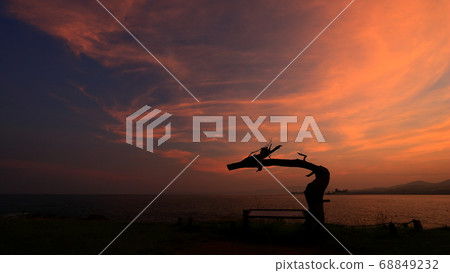 宮城縣氣仙沼市的岩松龍松和日落美景 68849232