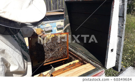 Honeycomb with bee honey in the hive 68849684