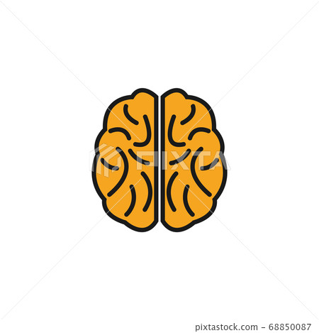 Brain graphic design template vector isolated - Stock Illustration ...