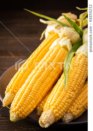 Organic corn cob with leaves 68850252