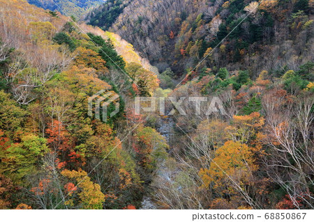 Ochiai Kaitani Nishiki color seen from the autumn Venus line Ochiai Bridge Ochiai Kaitani Nishiki color seen from the autumn Venus line Ochiai Bridge 68850867