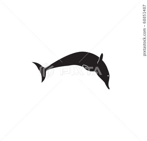 Dolphin graphic design template vector isolated 68851487