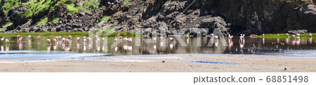 Panorama with Big Group of Pink Lesser Flamingo at Lake Natron, Tanzania, Africa Panorama with Big Group of Pink Lesser Flamingo at Lake Natron, Tanzania, Africa 68851498