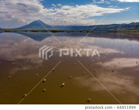 Aerial Shot. A flock of lesser flamingos Flying Above Brown Salt Water of Lake Natron with Ol Doinyo Lengai Volcano on Background. Tanzania, East Africa Aerial Shot. A flock of lesser flamingos Flying Above Brown Salt Water of Lake Natron with Ol Doinyo Lengai Volcano on Background. Tanzania, East Africa 68851999