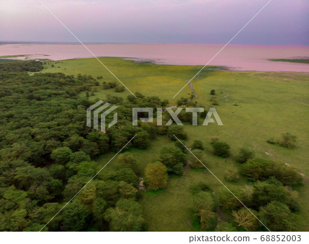 Aerial Drone view of Lake Manyara National Park with Pink Lake and Lush Primal Rain Forest in a Cloudy Weather Aerial Drone view of Lake Manyara National Park with Pink Lake and Lush Primal Rain Forest in a Cloudy Weather 68852003