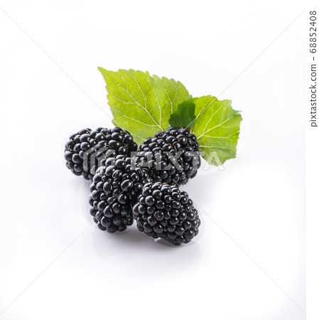 Blackberries isolated on white background 68852408