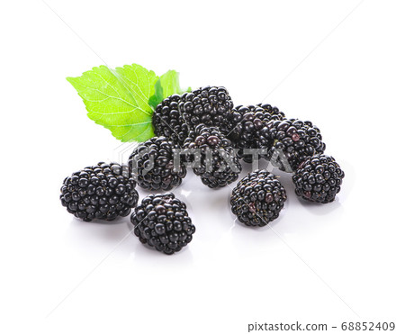 Blackberries isolated on white background 68852409