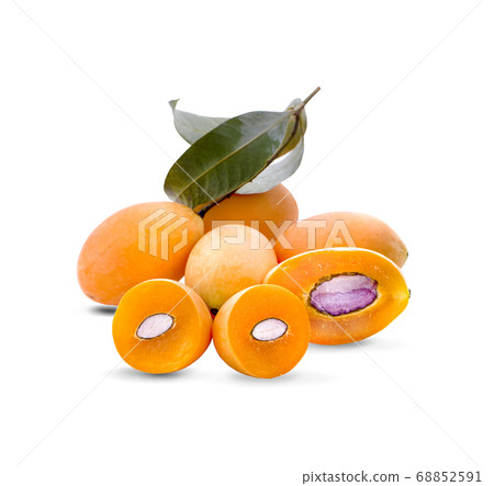 Marian plum fruit isolated on white background Marian plum fruit isolated on white background 68852591