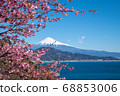 Kawazu Sakura and Mt. Fuji 68853006
