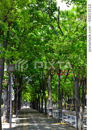 Fresh green business district 68853018