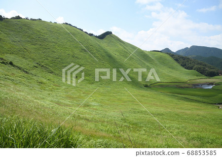 索根高原的夏天 索根高原的夏天 68853585