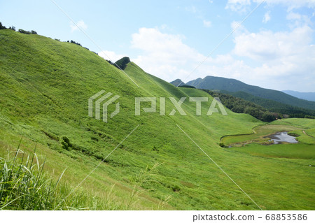 索根高原的夏天 索根高原的夏天 68853586
