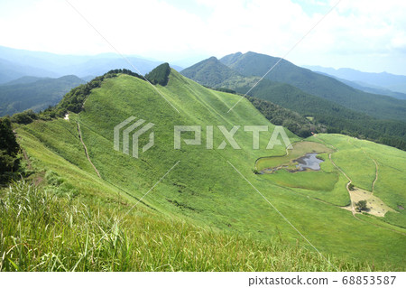 索根高原的夏天 68853587