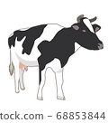 Cow  68853844