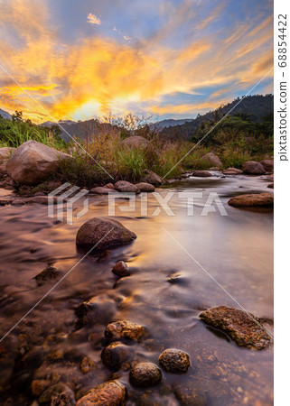 River stone and tree with sky and cloud colorful, 68854422