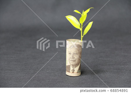 Rolled banknote money five thousand Cambodian Riel and young plant grow up 68854891