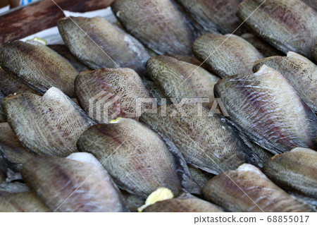Dried fish of trichogaster pectoralis fish. Dried fish of trichogaster pectoralis fish. 68855017