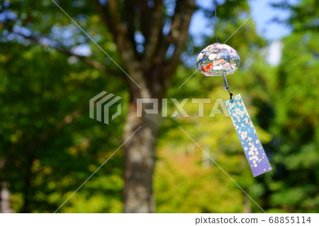 Cool in the shade Cool in the shade 68855114