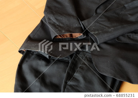 西裝中的黴菌生長 68855231