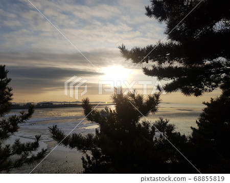 The sea seen through the trees where the sun sets 68855819