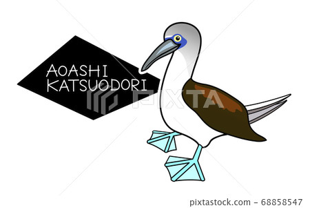 Blue-footed Booby Blue-footed Booby 68858547