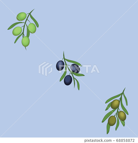 Greek Olive branches on grey blue background Greek Olive branches on grey blue background 68858872