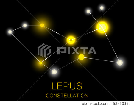 Lepus constellation. Bright yellow stars. Vector Lepus constellation. Bright yellow stars. Vector 68860333