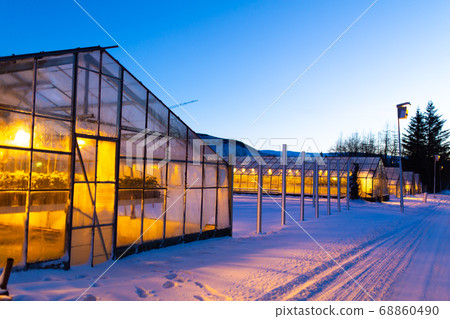 Industrial greenhouses for growing plants in 68860490