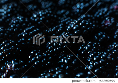 Close-up of ripe black mulberry berries. View from Close-up of ripe black mulberry berries. View from 68860699