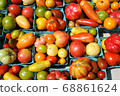 Organic tomatoes lined up at New York Farmers Market 68861624