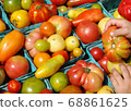 Organic Tomatoes at New York Farmers Market 68861625