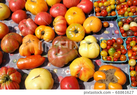 Tomatoes at Farmers Market in New York Tomatoes at Farmers Market in New York 68861627