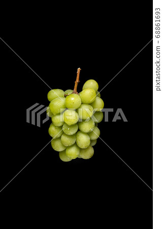 Shine Muscat black back 68861693