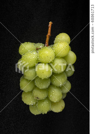 Shine Muscat black back 68861713