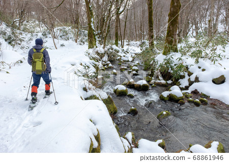 Snowshoe wrecking image 68861946