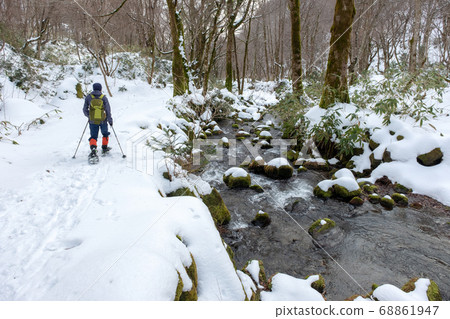 Snowshoe wrecking image 68861947