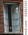 A dog looking out the window of a building in Soho, New York. 68862565