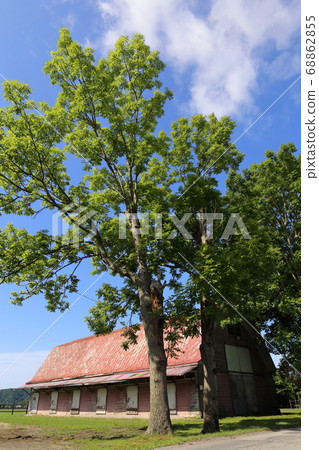Scenery with a farm in the Hidaka region of Hokkaido 68862855