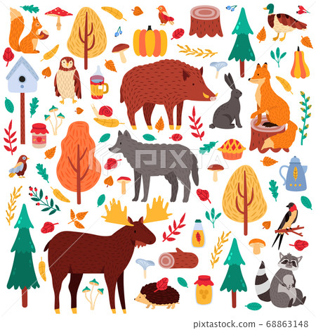 Cartoon autumn animals. Cute woodland birds and... - Stock Illustration  [68863148] - PIXTA