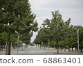 Trees in the park 68863401