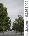 Trees in the park 68863402