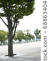 Trees in the park 68863404