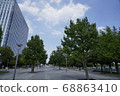 Trees in the park 68863410