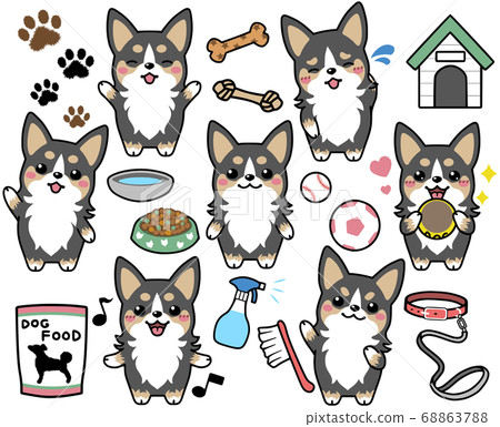 三色柯基犬圖片表情集合 三色柯基犬圖片表情集合 68863788